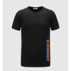 Unisex - Limited Edition Burberry T Shirts - B9G-TX-Max4014