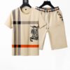 Burberry Tracksuit B9G-TX+DSTK-DN22406