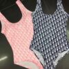 Limited Edition Dior Swimsuit - DN26110508